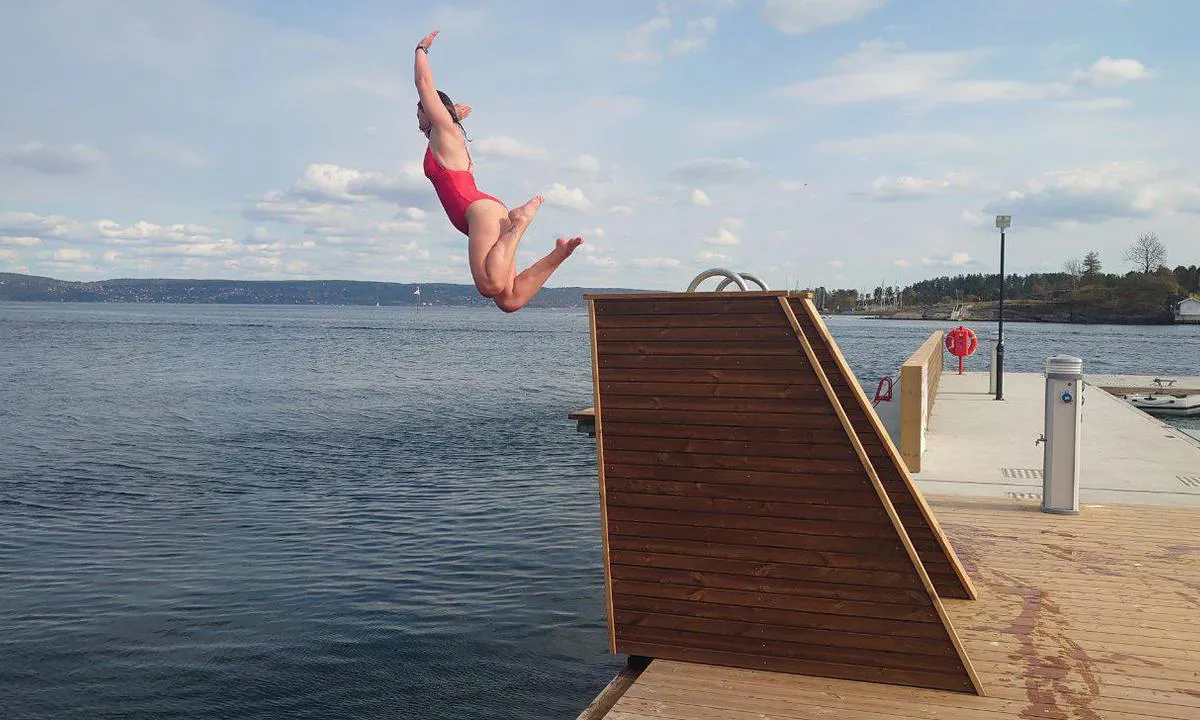 Vollen Marina Gjestehavn: {"base": "no", "no": "Egen badeplass p\u00e5 gjestebrygga.", "se": "Egen badplats vid g\u00e4stbryggan.", "en": "Own swimming area at the guest pier.", "da": "Egen badeplads ved g\u00e6stebroen."}